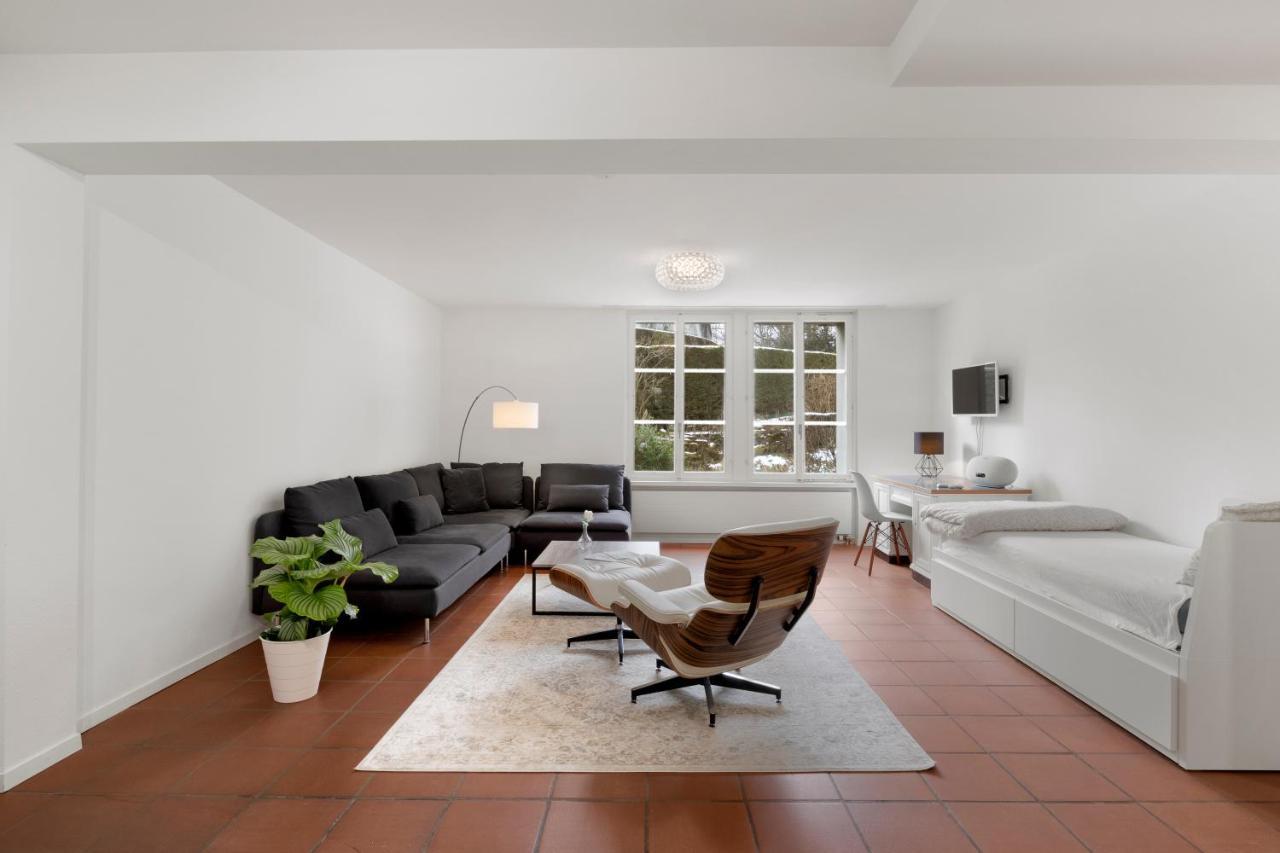Cozy Boutique Apartment At Mt. Rigi Goldau Exterior photo